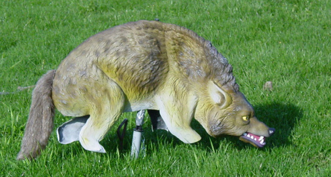 Coyote-2.sm_3.jpg