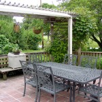 View from patio with grape arbor 