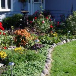 Fall-color-garden
