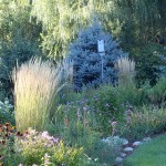 Grass-and-verbena
