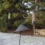 Bird-feeder with cone