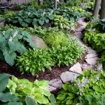 Hosta-Tour One garden