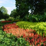 Boerner Botanical Gardens in Milwaukee demonstrating planting in swaths of color