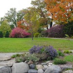 pond-and-trees