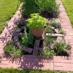 Home Herb-Garden